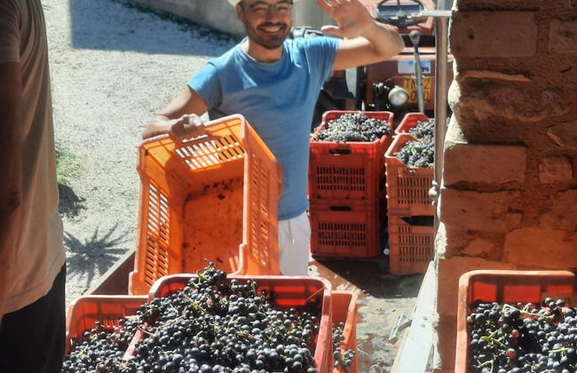 Agriturismo Corte Davini - Foto 66