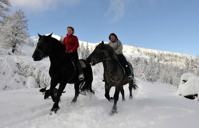 Huge Apartment in Sankt Margarethen im Lungau near Ski Lift - Foto 27