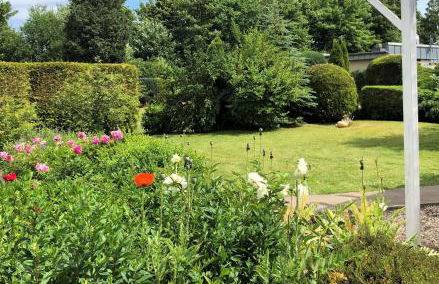 Strandläufer - Photo 22