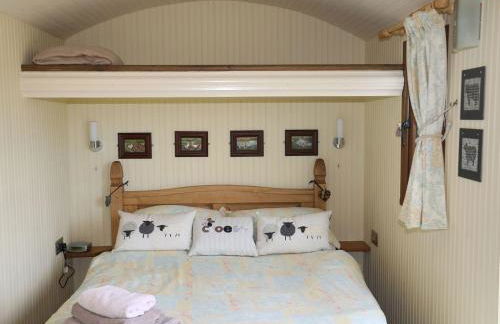 Llety'r Bugail 1 - Photo 5