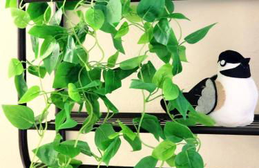 Tahoe Shoreline Retreat - Close to Ski Resorts & HOA Amenities - Foto 47