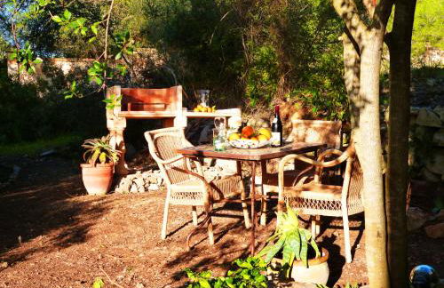 Finca Almendra - Photo 24