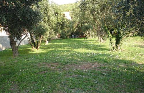 Apartmani Žorić - Foto 31