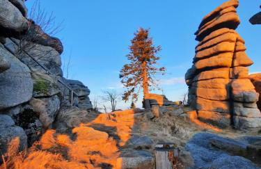 Appartement 13 im Haus Dreisessel - Foto 44