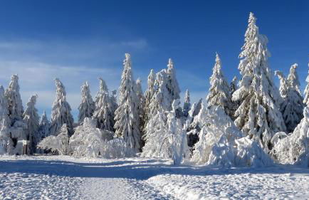 Vedders Berghütte - Foto 46