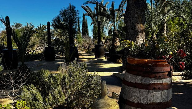 Alicante; Recorrido Vinícola Bodega Cata Vinos, Comida y Traslado - Foto 5, Vista de bodega