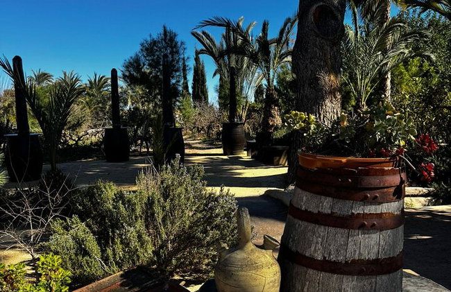 Alicante; Recorrido Vinícola Bodega Cata Vinos, Comida y Traslado - Foto 5