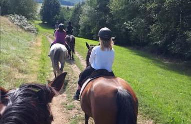 Ferienwohnung im Fachwerkhaus - Foto 15