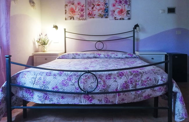 Agriturismo La Luciana - Foto 15