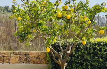 Lifestyle Villa Cap Martinet Ibiza - Foto 39