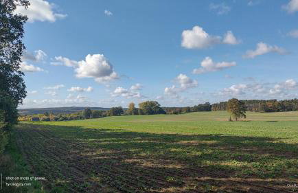 Gospodarstwo Agroturystyczne Agroletnica - Foto 123