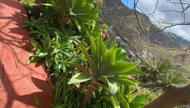 Los Corralitos - Foto 5