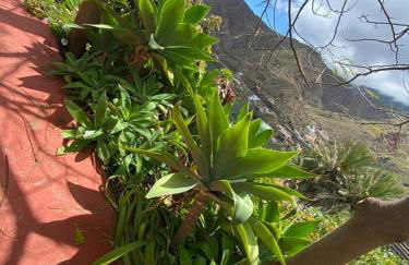 Los Corralitos - Foto 5