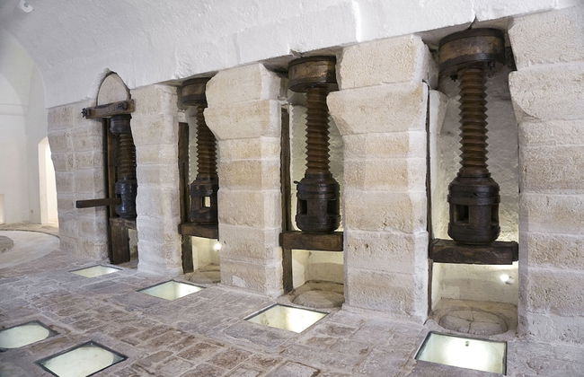 Masseria Capece - Photo 29