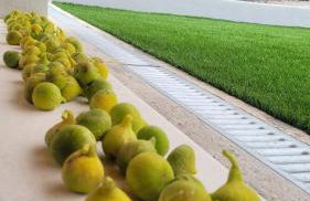 Villa Pero & Jele - Foto 26