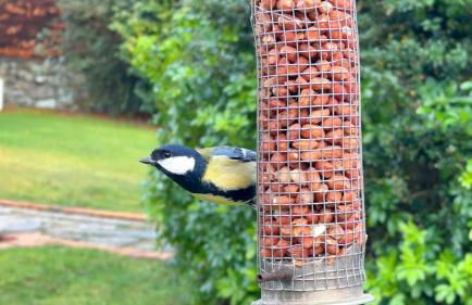 Drumfin Cottage - Foto 17