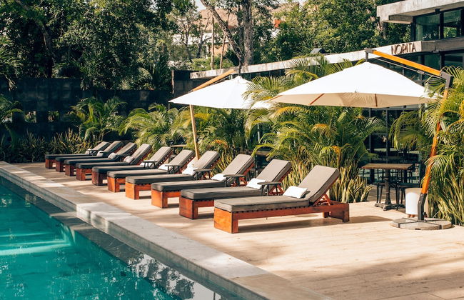 Aparthotel in Tulum with swimming pool and garden - Photo 1