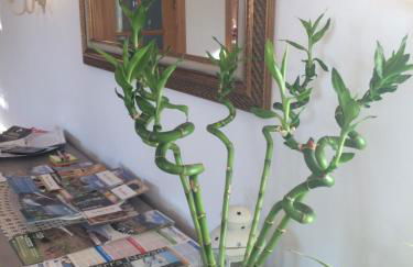 Bonita casa en Barrio de Monachil - Foto 13