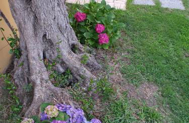 Residenza Laura Casa Vacanze Capo Vaticano - Foto 39