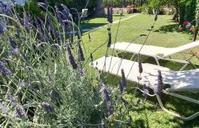 Nina's Cozy Home - Foto 9