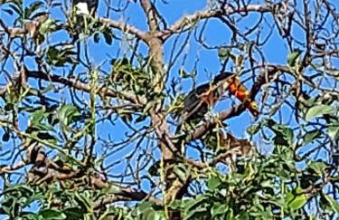 Casa de Campo - Vista da montanha - Foto 13