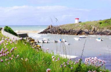 Gîte les Hirondelles - Photo 12