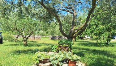 Apartman Lancun - Foto 4