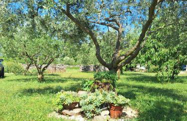 Apartman Lancun - Foto 4