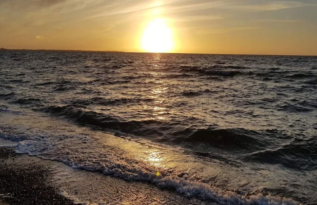 4 Person Holiday Home in Store Fuglede - Foto 42