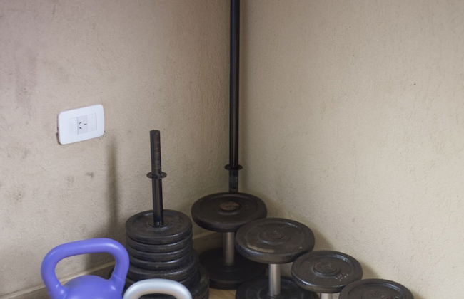 Olivos de Monte - Foto 45