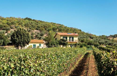 Poggiolivi Agriturismo Bio in Maremma - Foto 40