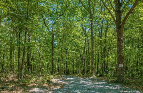 Coyote Cabin at Woodland Retreat at DeSoto beside DeSoto State Park - Foto 43