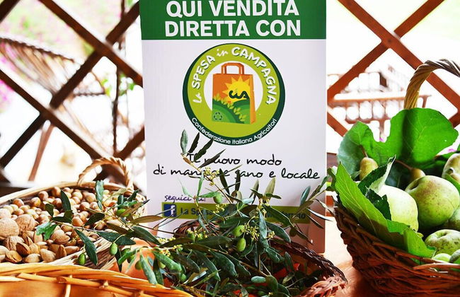 Agriturismo LA.TI.MI.DA. - Foto 15