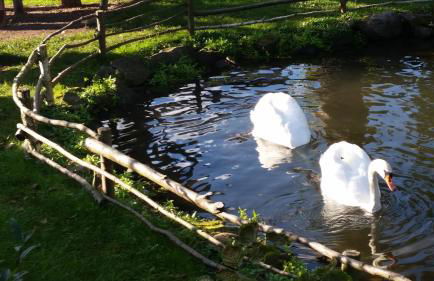 Ferienwohnung Schulze - Photo 35