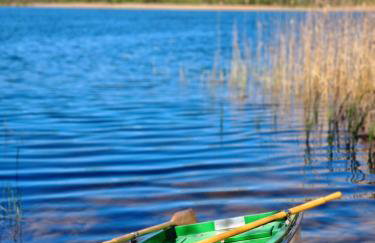 Siedlisko Rogówko: Dom Drwala - Foto 10