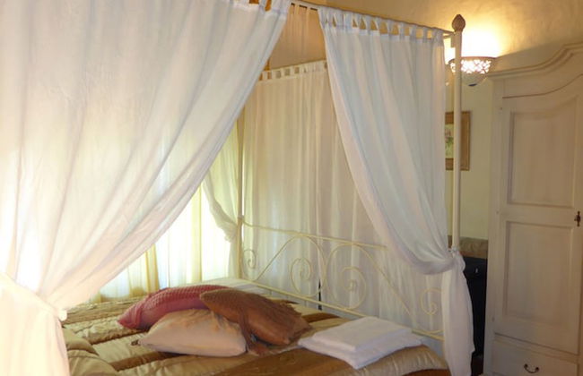 Fattoria di Colleoli - Foto 6