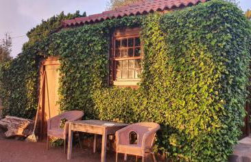 Casa Palmera - Photo 31