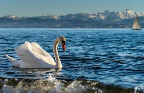 Cityapartment direkt am Hafen - Photo 17