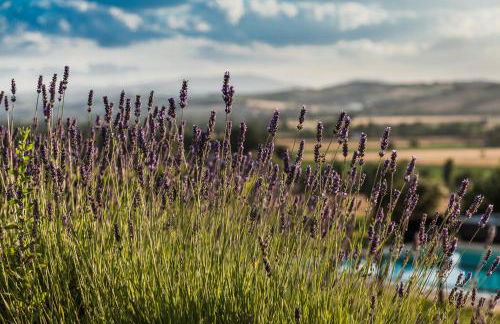 Casalantico - Foto 34