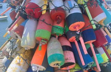 Trade Winds on the Bay - Foto 82