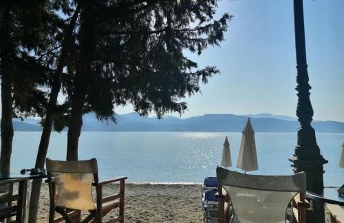 Mavra Studios - Foto 46