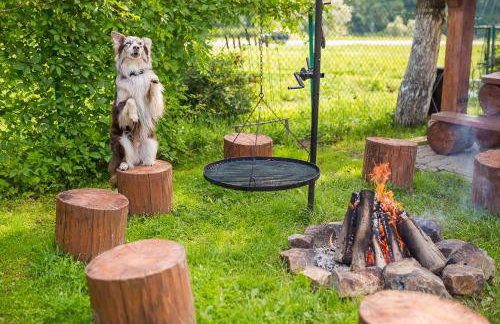 Bieszczadzki Krakowiak 575-894-584 lub 535-595-732 - Photo 57