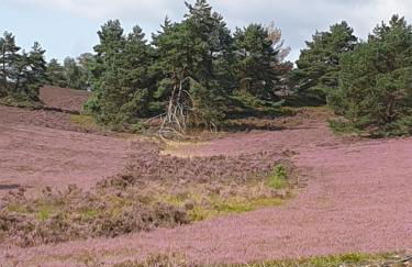 likehome apartments - Foto 7