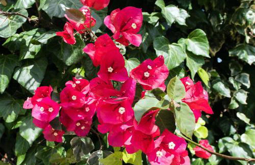 Villa Lofos - Photo 45