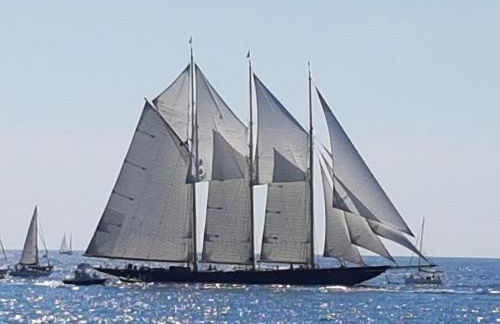 Vicino al mare sulla pista ciclabile - Foto 22