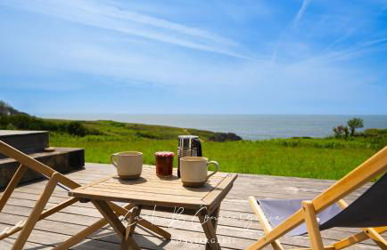 Vue imprenable exceptionnelle sur l'océan pour cette résidence haut de gamme avec piano DOELAN - Foto 3