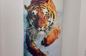 2 Spacious Double Bedroom Apartment - Bradford - Foto 43