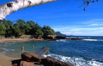 Appartement La Potinière - Foto 32