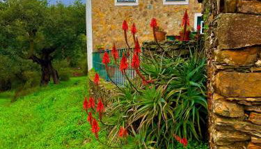 Quinta Castanheiro da Penha - Alegrete - Portalegre - Alentejo - Foto 3