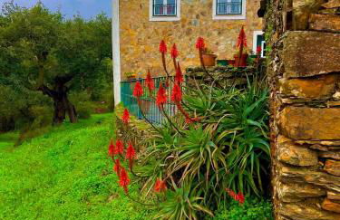 Quinta Castanheiro da Penha - Alegrete - Portalegre - Alentejo - Foto 3